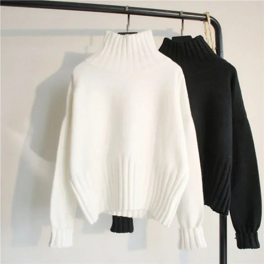 CELINO TURTLENECK RIBBED PULLOVER